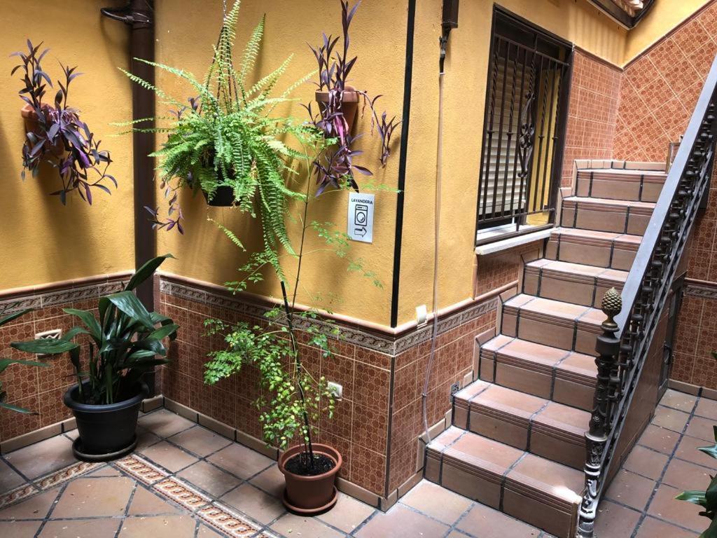 Apartamento Tranquilo E Ideal Para Parejas, Con Bonitas Vistas De Y Fantastica Ubicacion